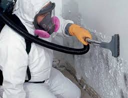 Best Forensic Mold Investigation  in Basehor, KS